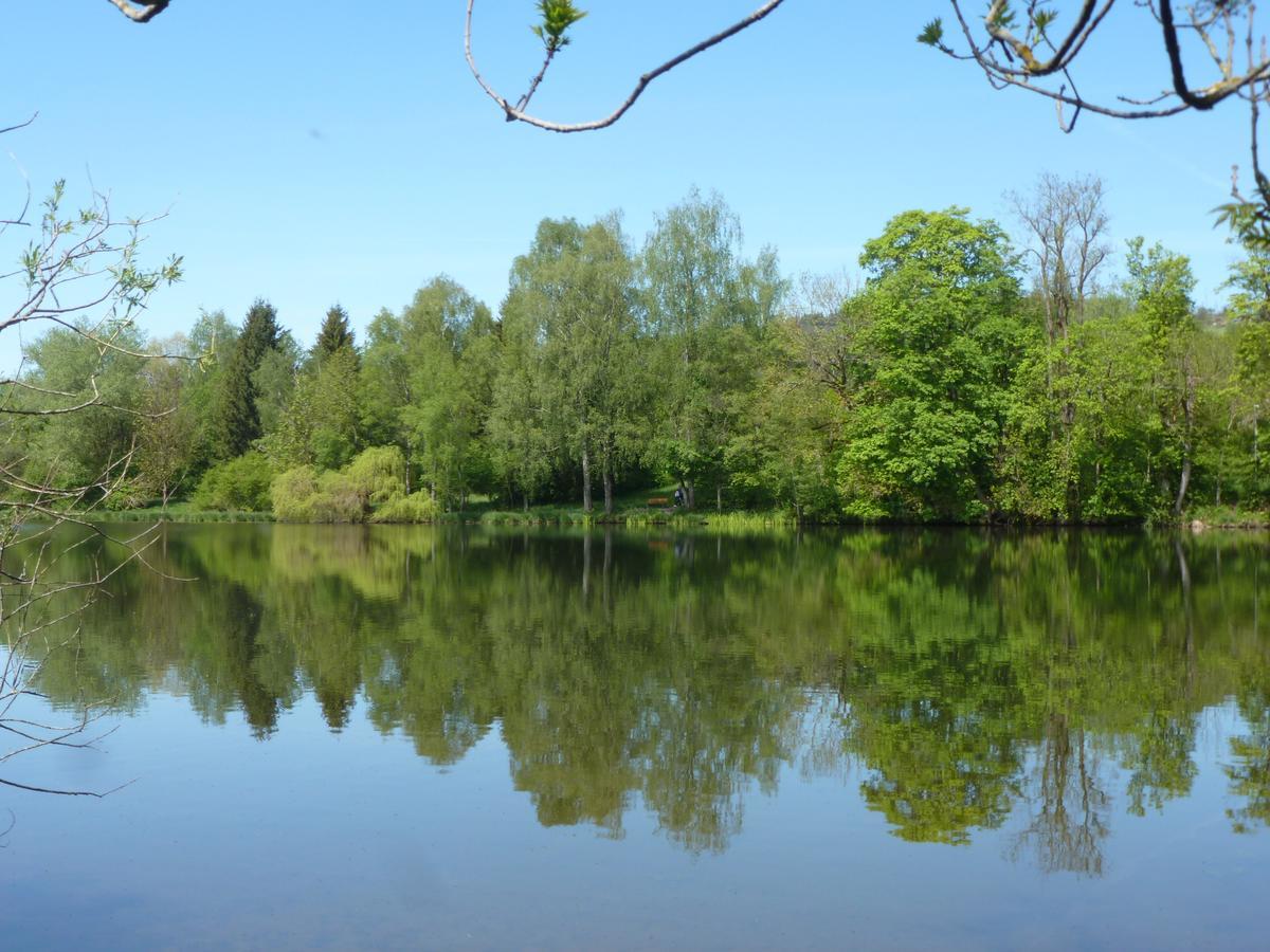Ferienwohnung In Kempten Am Stadtweiher Extérieur photo